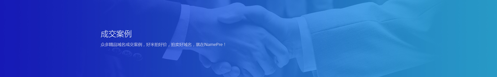 域名拍賣案例